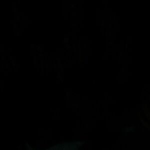 Can’t Believe I Can’t Delete this Old Listing